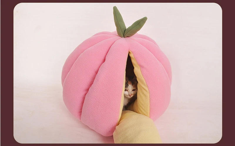 _---_13