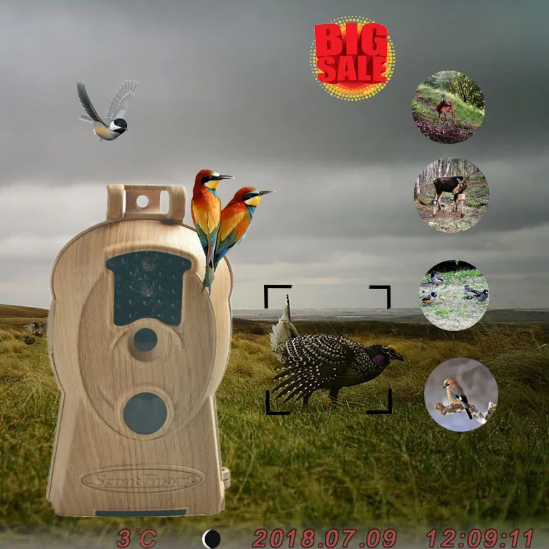 

Bolyguard 10MP 720P Wildlife Trail Hungting Camera Night Vision hunting camcorder wildcamera Bird Watching Camera thermal imager