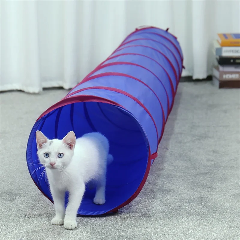 8de6788b-6f12-4b0c-8bde-4cdf5e7e6d23