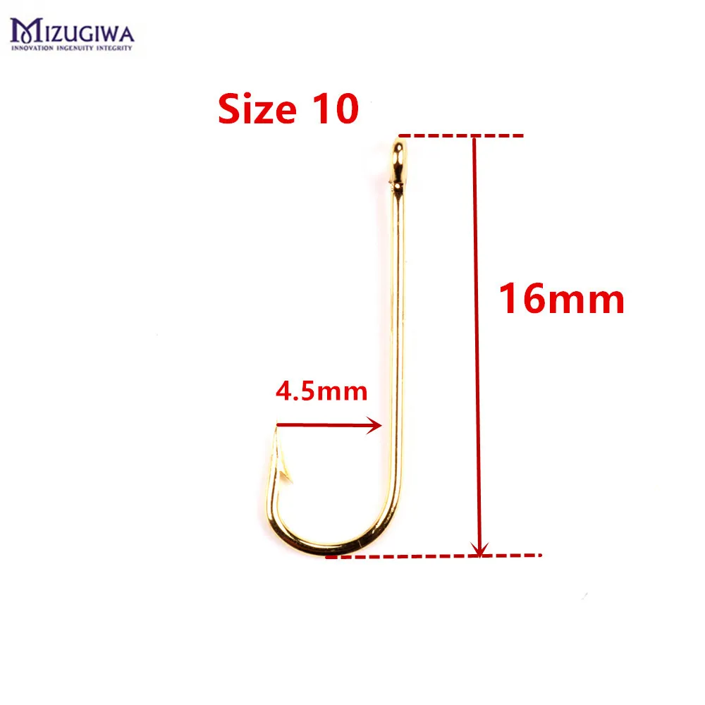 RAY_1295_size 10