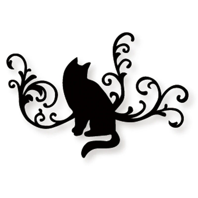 Best of cats vines picture