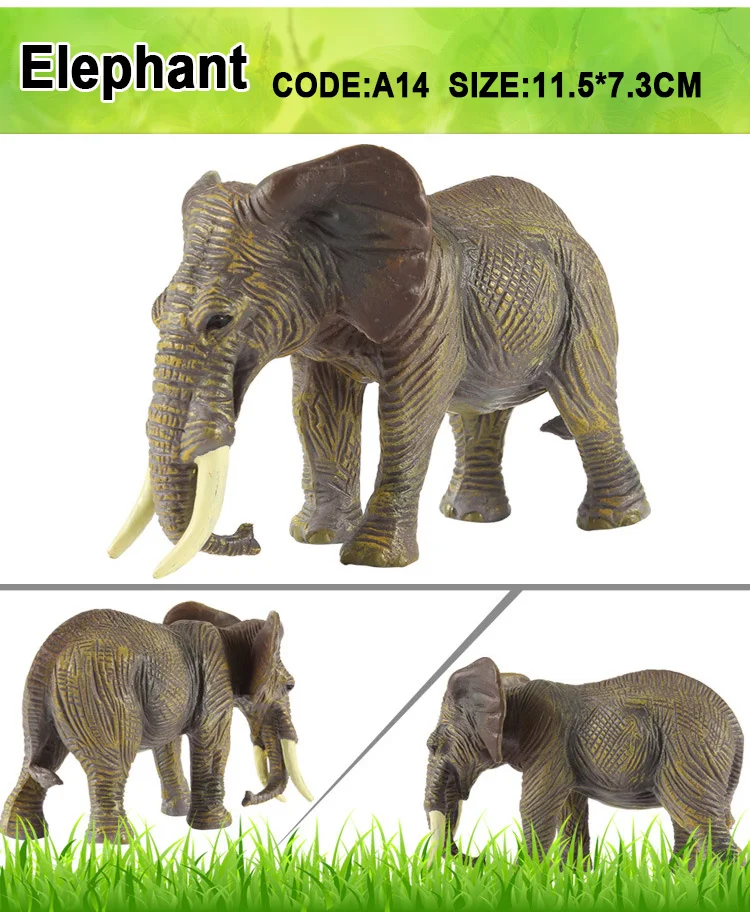 Elephant