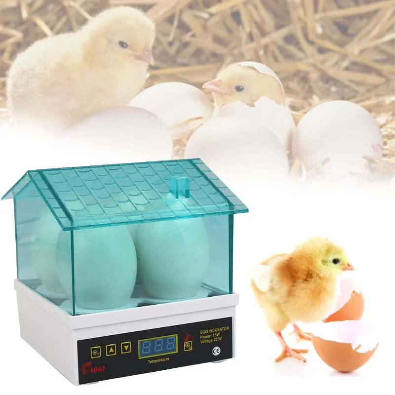 Home Use Mini Fully Automated Egg Incubator Small Hatching Chicken AU Plug Home Use Mini Fully Automated Egg Incubator Small Hatching Chicken AU Plug