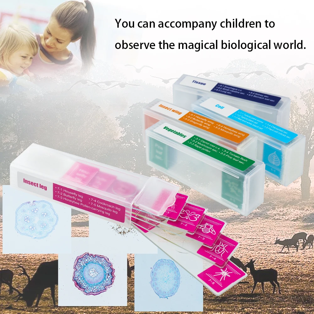 

35 Piece of Colorful Microscope Specimens Biological Specimen Slides Primary and Secondary Gifts for Microscopes accessories