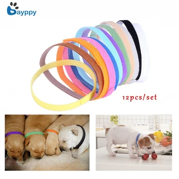 

12Pcs Puppy ID Identification Collars Adjustable Nylon Small Pet Dog Collars Kitten Necklace Whelping Puppy Collars Pet Product