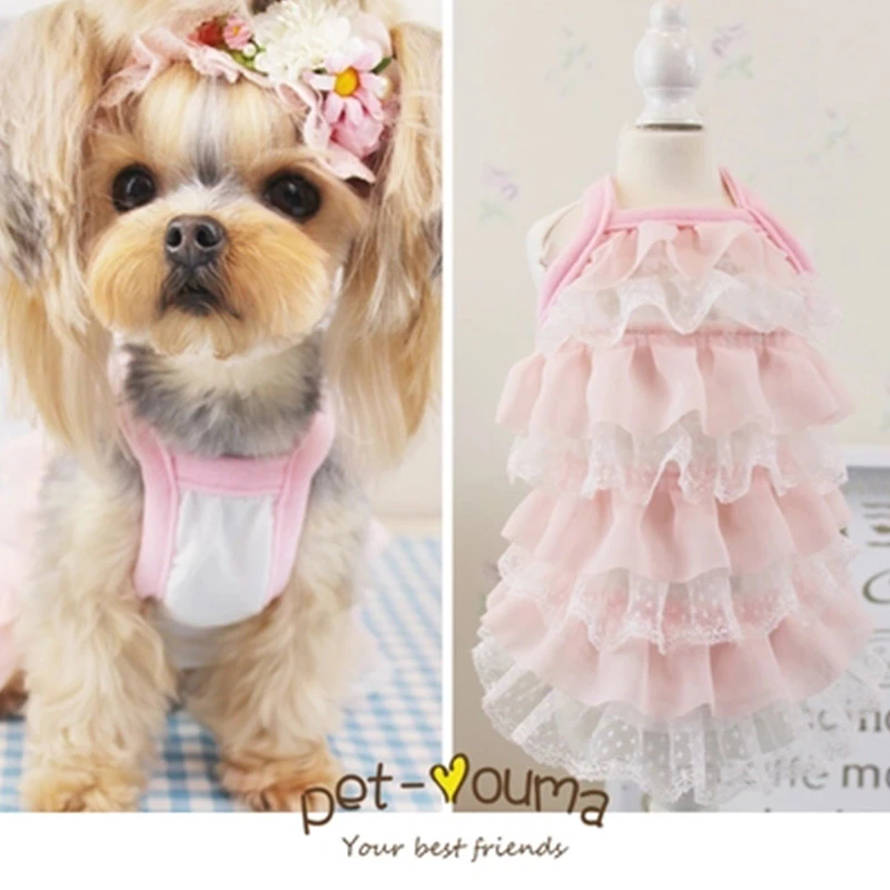 かわいい犬の子犬レースのドレス犬猫ペットケーキチュチュスカート犬高級王女のウェディングドレス夏犬チワワ服 Dress Dog Dog Dress Clothespet Wedding Clothes Aliexpress