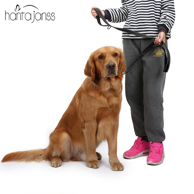 HANTAJANSS Guinzaglio Del Cane 2 Maniglie In Nylon Imbottito Doppio Manico Guinz HANTAJANSS Guinzaglio Del Cane 2 Maniglie In Nylon Imbottito Doppio Manico Guinz