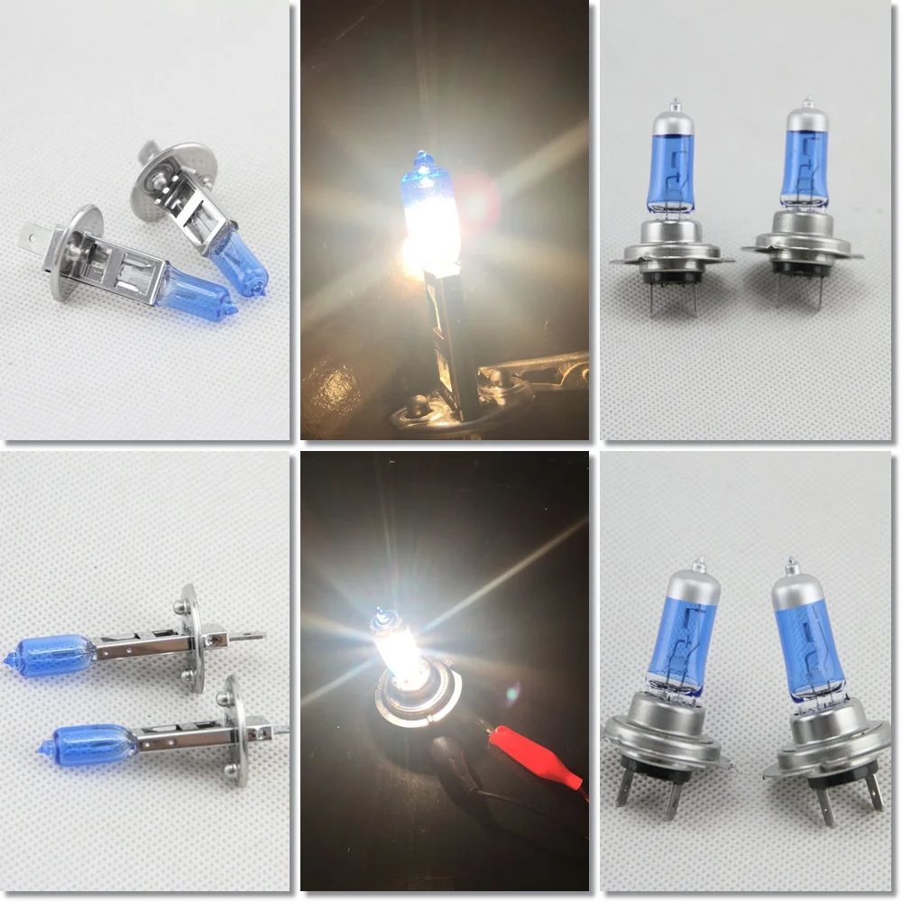 H1+H7 halogen bulb-1
