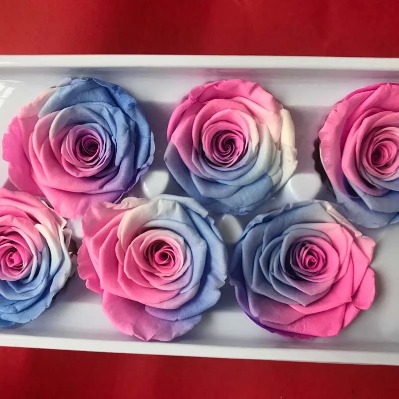 5 6 см головка сохраненная роза с градиентом цвета Красавица и Чудовище Forever Roses