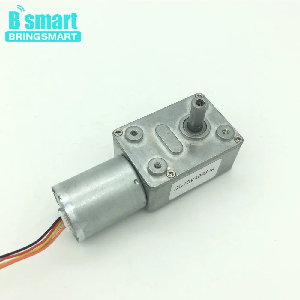 

Bringsmart JGY-2430 12 Volt DC Worm Gear Motor Brushless Self-locking Reversible Geared Motor DC Tachogenerator