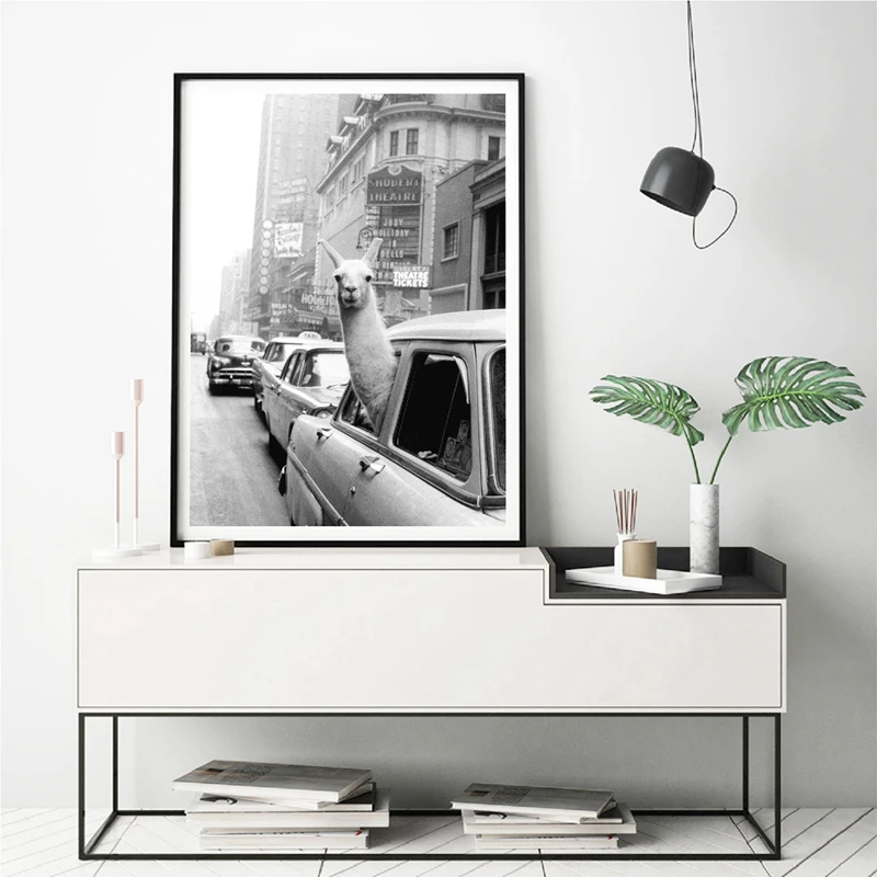 Llama Wall Art Print