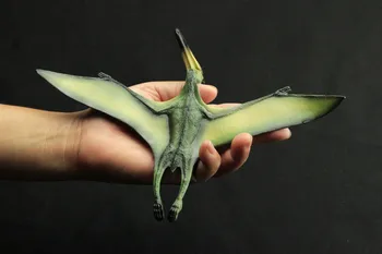 

Simulation Animal Model Jurassic Dinosaur educational toy pterodactylus Dinosaur Pterosaur