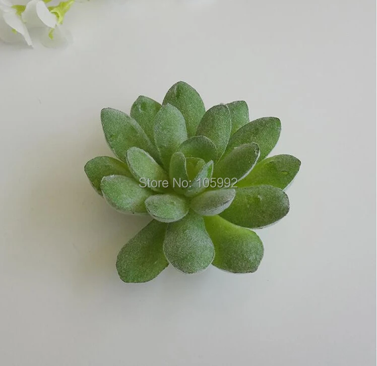QQ20150907235516.jpg