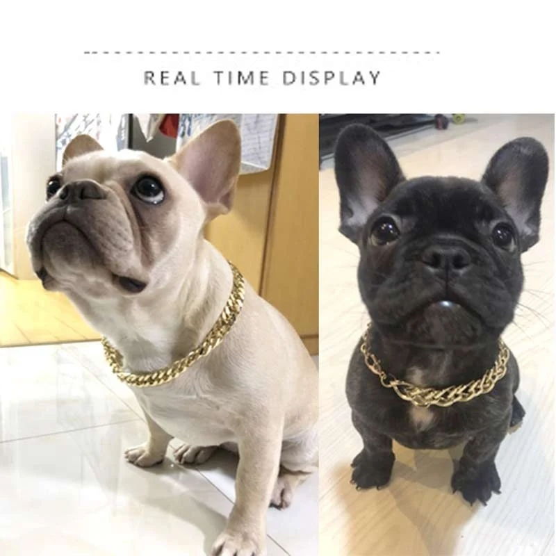 collars for dog