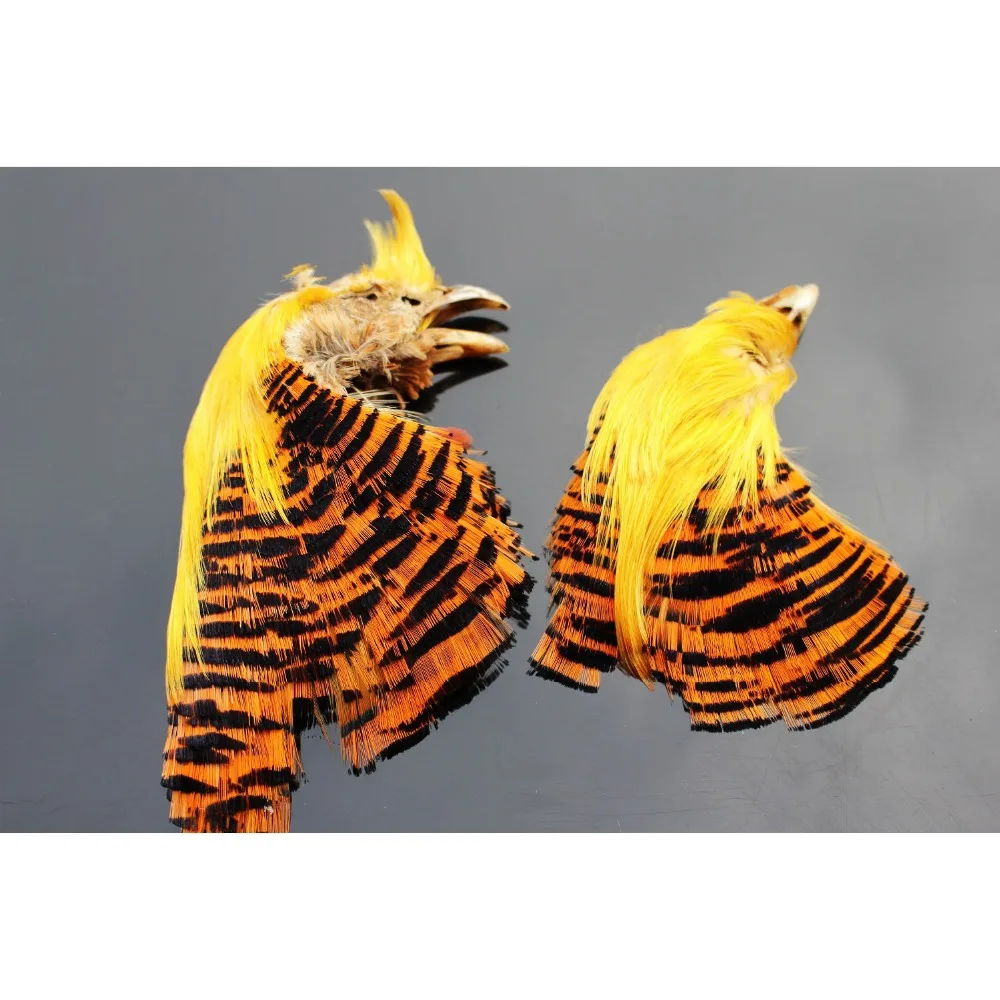 Tigofly 2 pcs Assorted Natural Golden White Lady Amherst Complete Pheasant Head and Crest Salmon Fly Tying Feather Materials
