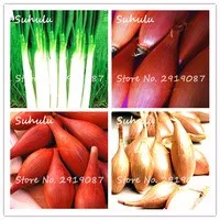120pcs-Mini-Shallot-Figaro-Onion-Seeds-Organic-Vegetables-Seeds-Bonsai-Potted-Plants-For-Home-Garden.jpg_200x200