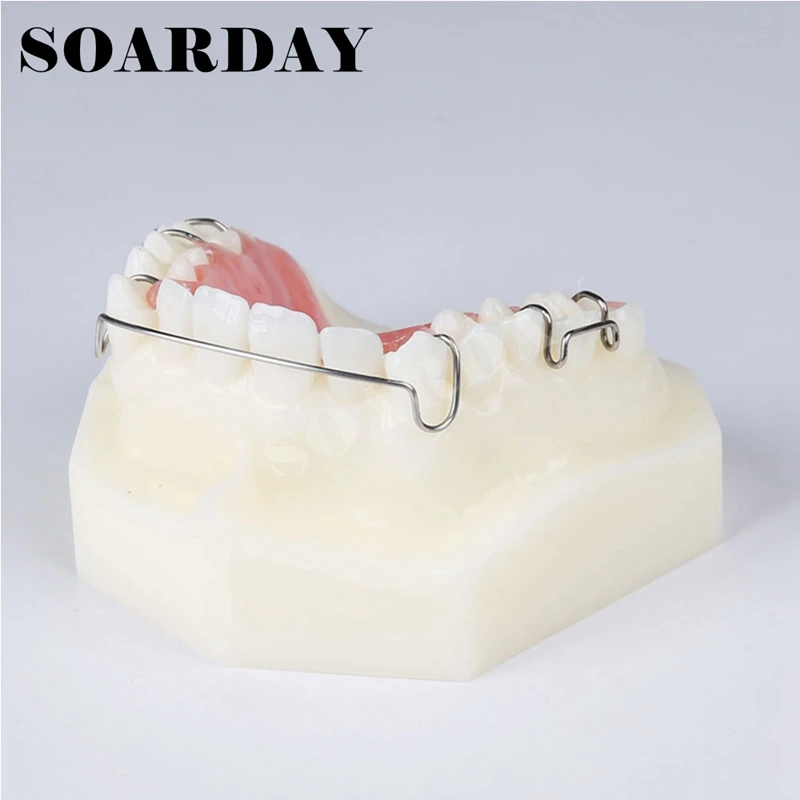 Dental Retainer Demonstration Model Orthodontics Treatment Model  (4)
