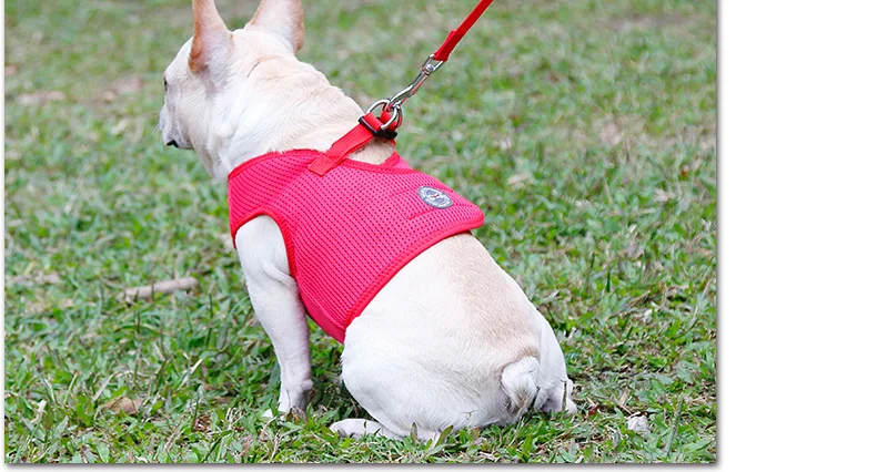 Dog Harness Breathable (13)