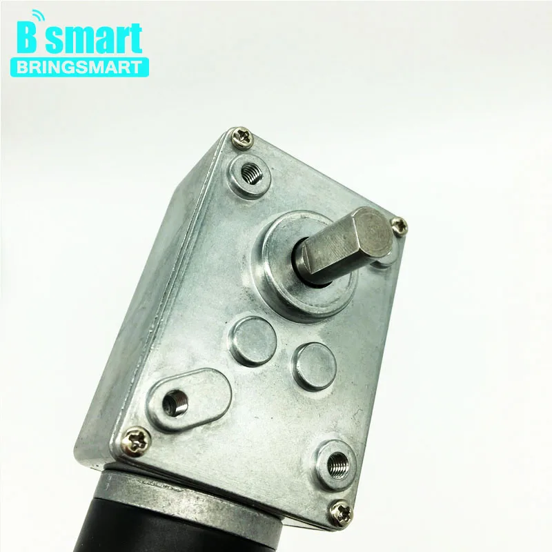 

BRINGSMART A58SW31ZY dc worm gear motor for robot 12v-24V high quality high torque low noise dual shaft self-locking