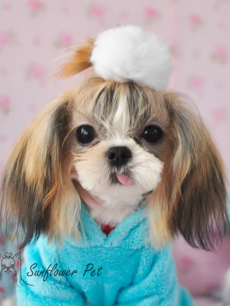 2015 Korea Material plush ball pet hair jewelry Dogs hair accessories