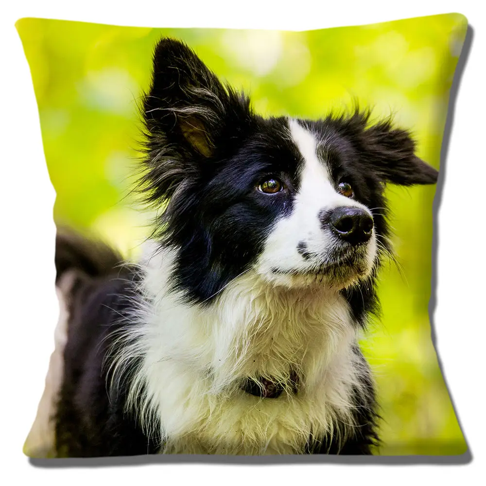 Cute Black White Border Collie Dog Cushion Cover Throw Pillow Case