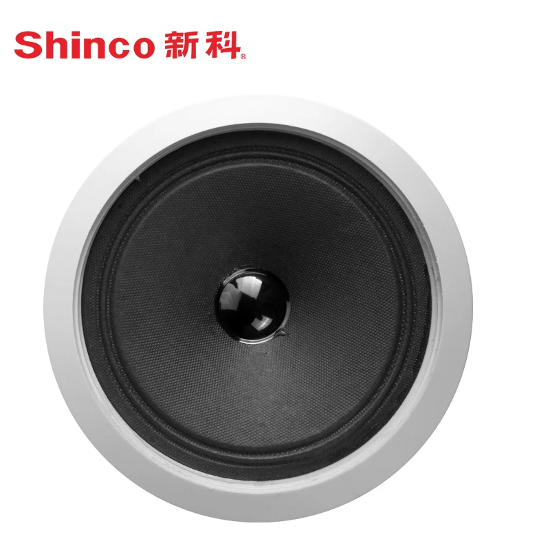 Потолочный беспроводной Bluetooth динамик Shinco V2 фон музыкальные радио динамики|radio