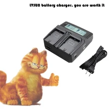 Udoli DMW-BLG10 BLG10E BLG10PP BLE9 BLE9E BLE9PP Camera Battery Dual Charger Car Adapter for Panasonic Lumix DMC GF6 GX7 GF3 GF5