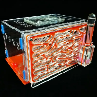 big-size-ant-farm (2)