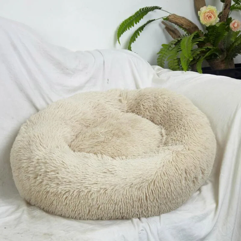 small dog bed