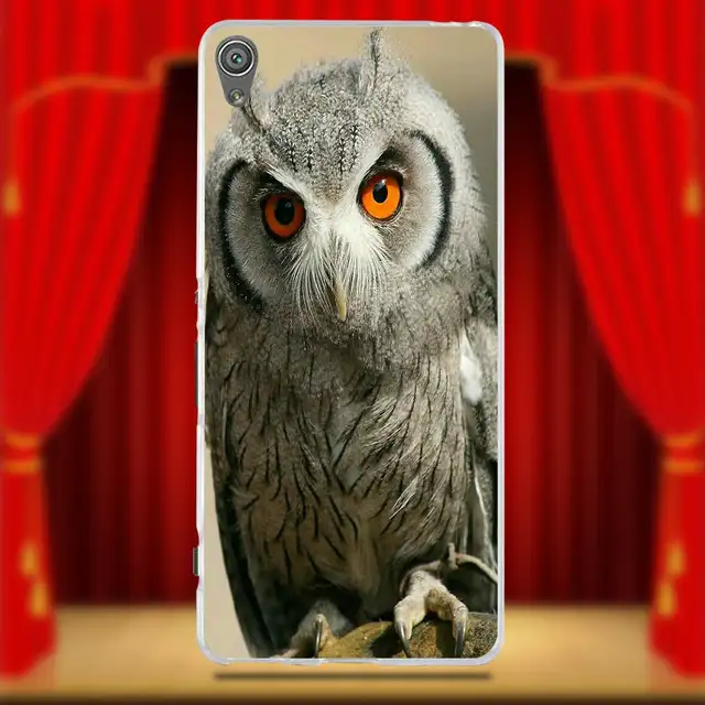 6700 Koleksi Hantu Hantu Lucu Gratis Terbaru