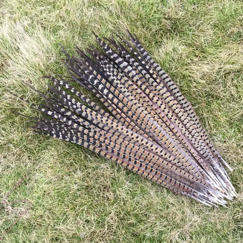 New Listing! 100pcs high quality natural pheasant feathers 16 18 inch