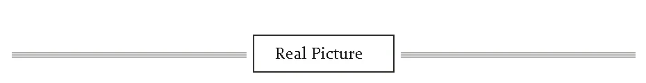 Real Picture