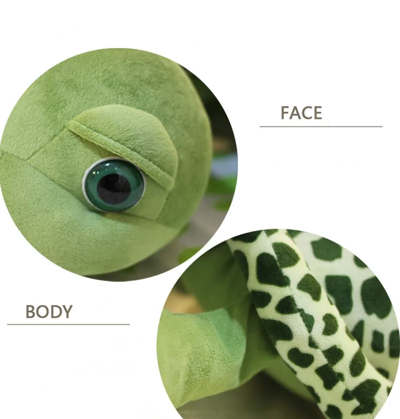 plush turtle (8)