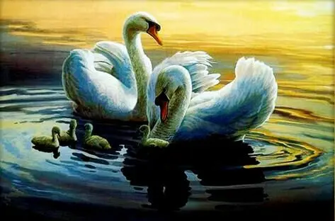 

Nth 53*75cm Needlework,Cross stitch,Set Embroidery kits,Precise Printed swans Patterns enough thread Counted Cross-Stitching