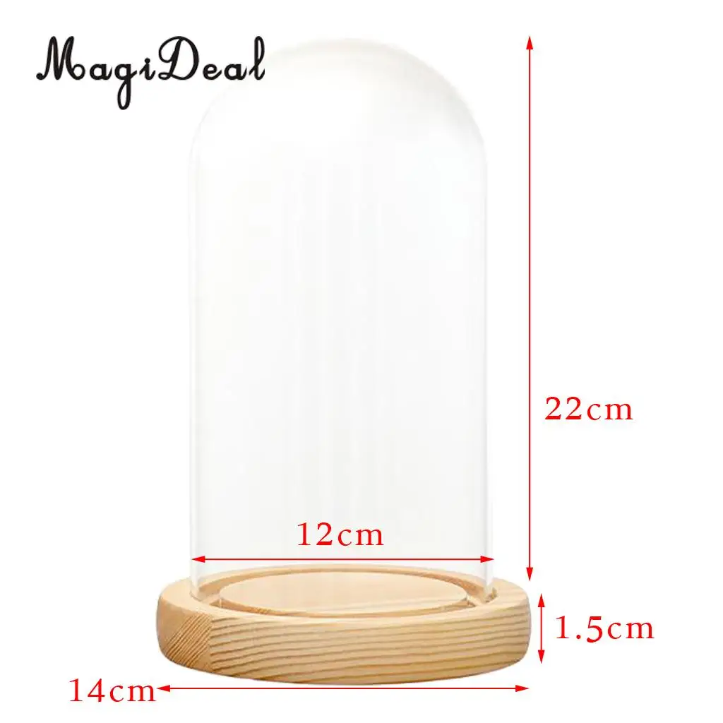 MagiDeal Mini Clear Glass Hemisphere Cloche Cover Dome Light Up Cabochon Bell Succulent Terrariums Air Plant Covers With Cork	