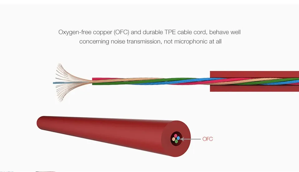 Nightingale161019 (6)