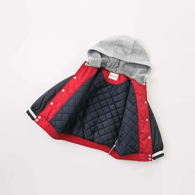 DBK8161 (12)