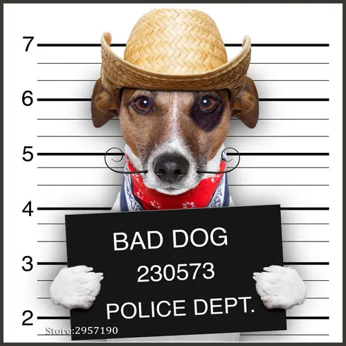 Funny Dog Wall Art Prints Pet Puppy Hipster Animals Canvas Wall