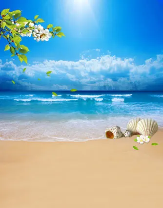 10x10FT Blanc Flowes Branche bord de Mer Shell Sable Plage