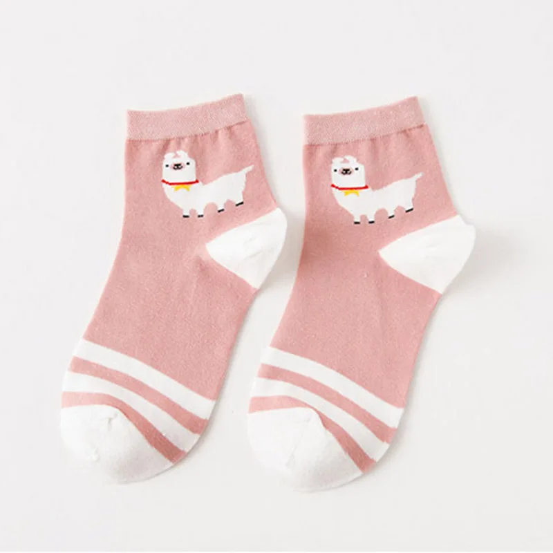 b (12)