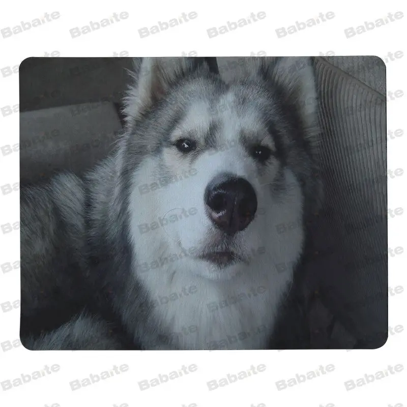 Babaite Siberian husky силиконовый коврик для мыши игровой размер 25x29 см скоростной