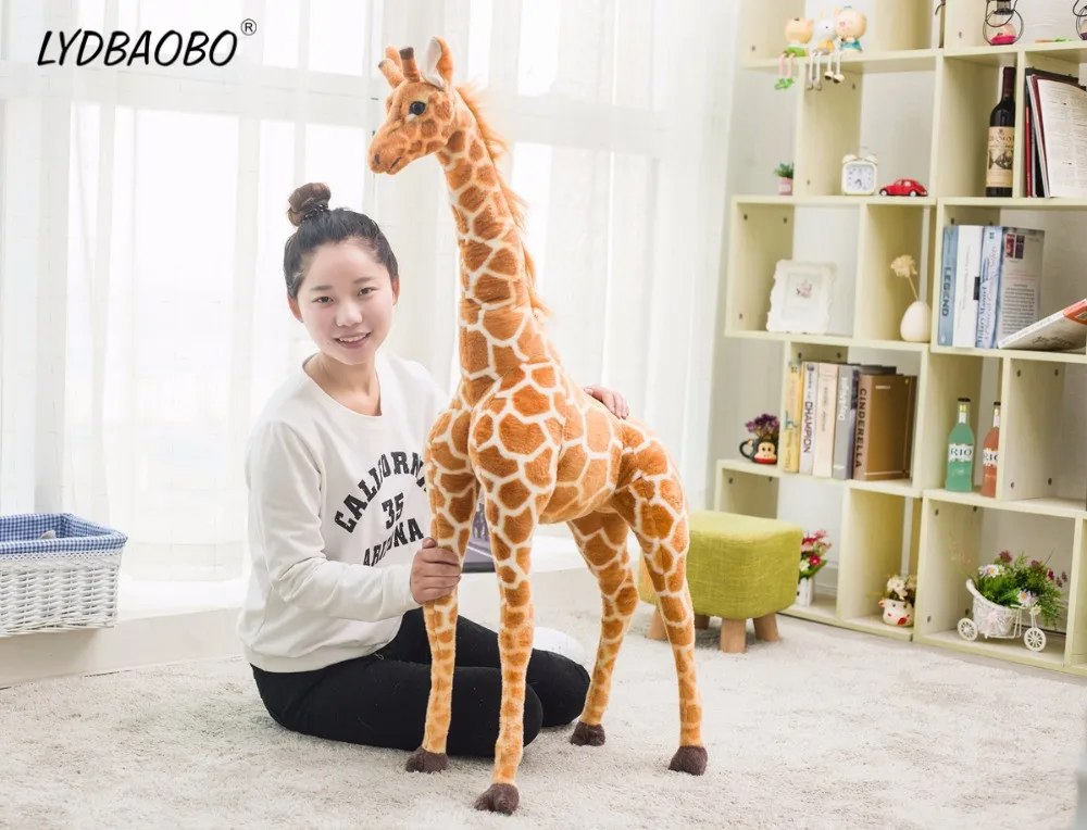 HTB1TcSSfx6I8KJjy0Fgq6xXzVXau