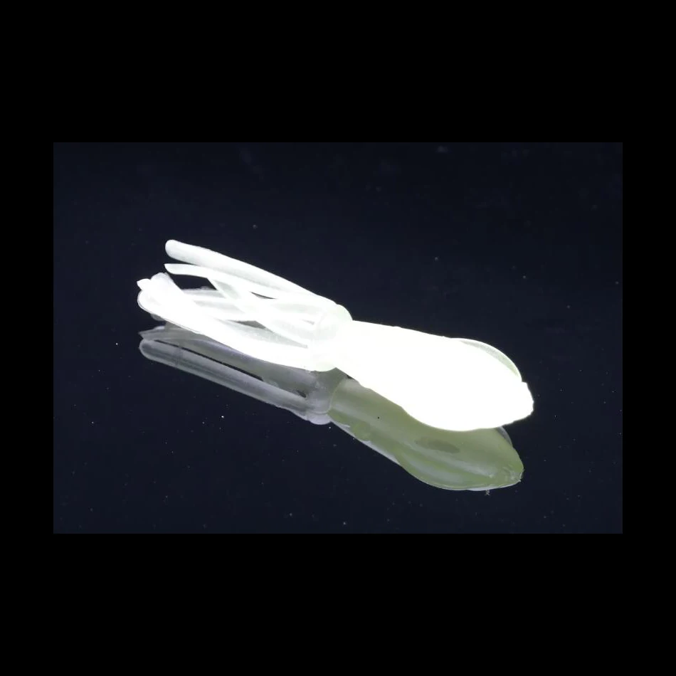 3g sepia squid cuttlefish inkfish seasleeve shape artificial luminous soft silica gel lure night fishing bait fishing tackle