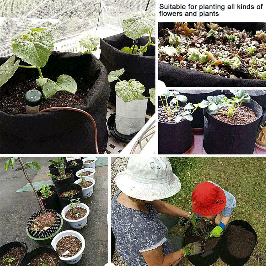 5-Pack 3 5 7 галлонов растительный мешок овощная плетеная корзина-горшок для цветов DIY картофель садовый горшок посадка экологически чистый мешок для выращивания
