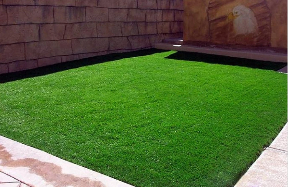 200pcs bag Korean lawn font b grass b font font b seeds b font font b