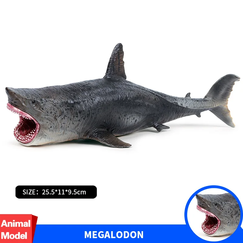 Oenux реалистичные водные животные фигурки Морская жизнь Акула кит дельфин рыба черепахи ПВХ модель игрушки для детей - Цвет: Without Box
