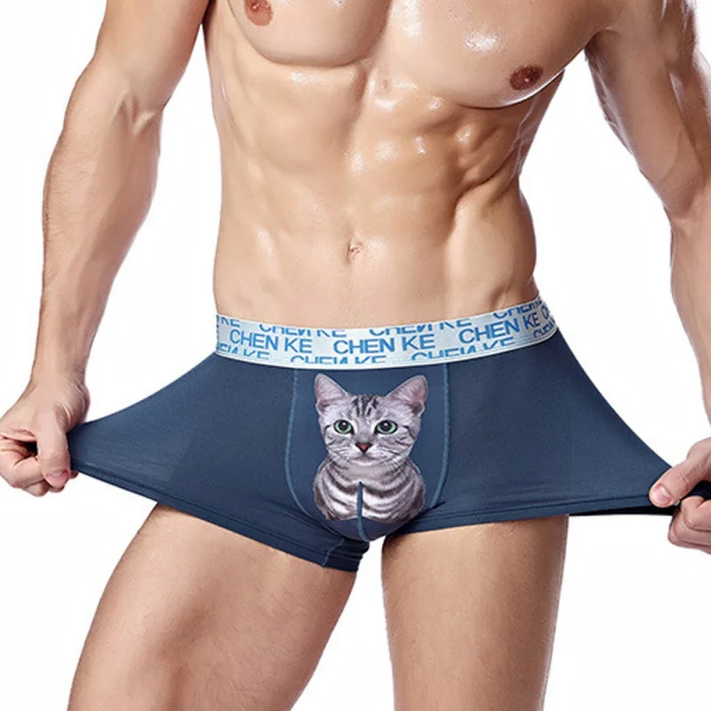 Мужские боксеры с изображением кота, Модальные, с буквенным принтом, Cueca Masculina, мужское нижнее белье, дышащие, для геев, мужские трусы размера плюс, хорошая эластичность