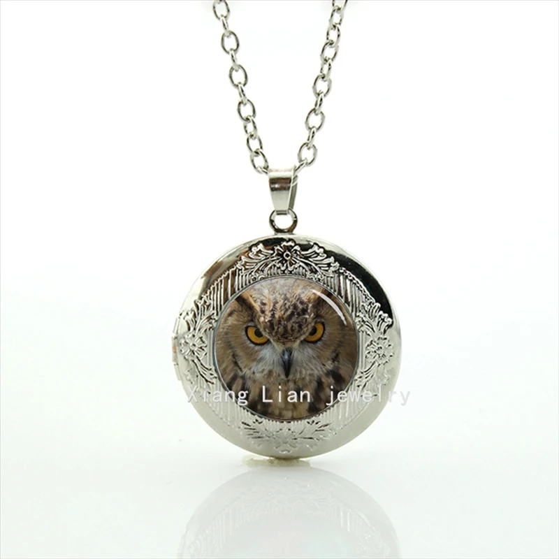 

2017 Sale Maxi Necklace Collier Collares Jewelry The Most Popular Animal Picture Owl Photo Pendant Necklace Animals Locket T482