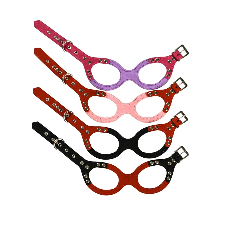 5 pet accessories dog 