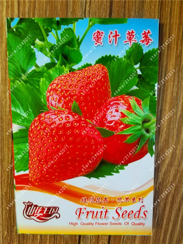 

True Honey Strawberry Bonsai Natural Organic fruit for home garden plants 100% real factory package